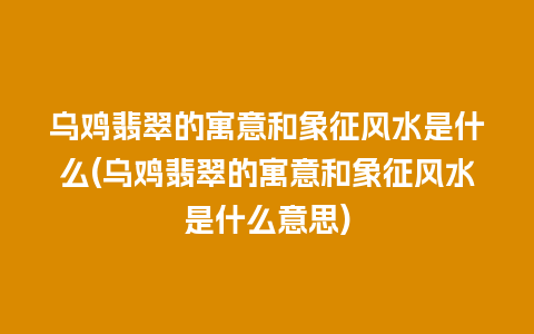 乌鸡翡翠的寓意和象征风水是什么(乌鸡翡翠的寓意和象征风水是什么意思)