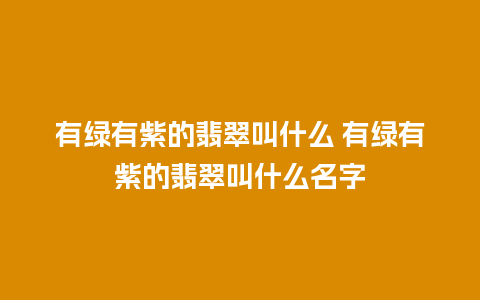有绿有紫的翡翠叫什么 有绿有紫的翡翠叫什么名字