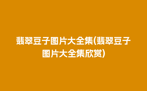 翡翠豆子图片大全集(翡翠豆子图片大全集欣赏)