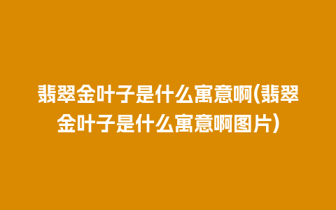 翡翠金叶子是什么寓意啊(翡翠金叶子是什么寓意啊图片)