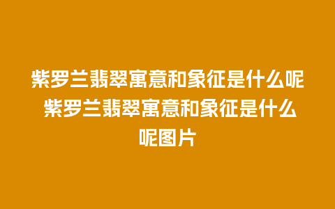 紫罗兰翡翠寓意和象征是什么呢 紫罗兰翡翠寓意和象征是什么呢图片