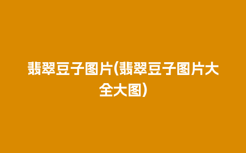 翡翠豆子图片(翡翠豆子图片大全大图)
