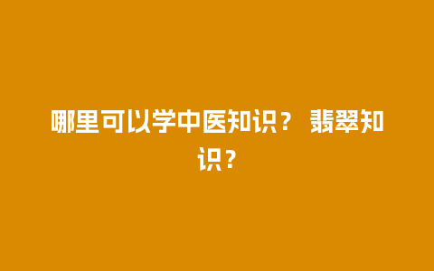 哪里可以学中医知识？ 翡翠知识？