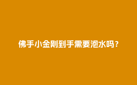 佛手小金刚到手需要泡水吗？