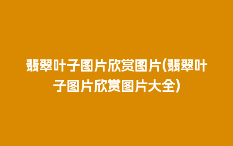 翡翠叶子图片欣赏图片(翡翠叶子图片欣赏图片大全)