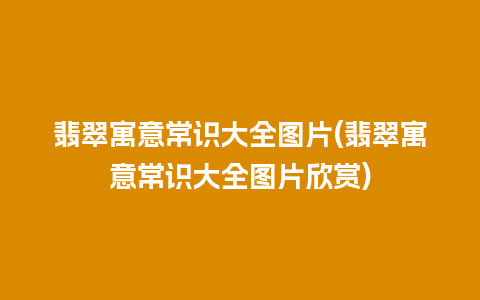 翡翠寓意常识大全图片(翡翠寓意常识大全图片欣赏)