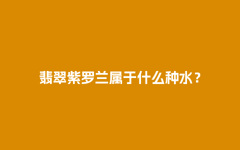 翡翠紫罗兰属于什么种水？