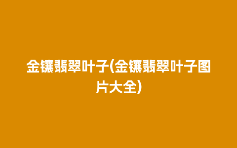 金镶翡翠叶子(金镶翡翠叶子图片大全)