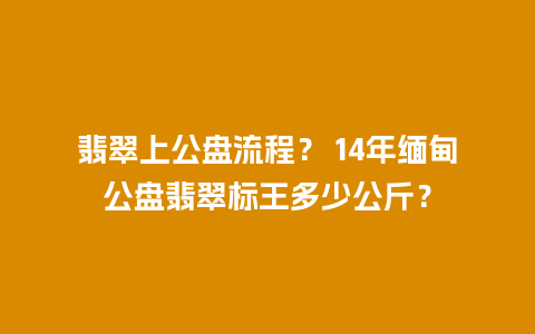 翡翠上公盘流程？ 14年缅甸公盘翡翠标王多少公斤？