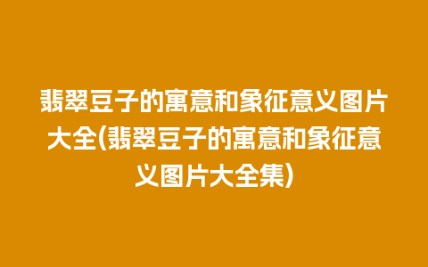 翡翠豆子的寓意和象征意义图片大全(翡翠豆子的寓意和象征意义图片大全集)