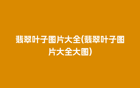 翡翠叶子图片大全(翡翠叶子图片大全大图)