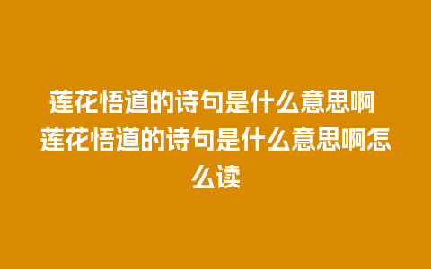 莲花悟道的诗句是什么意思啊 莲花悟道的诗句是什么意思啊怎么读