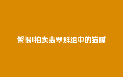警惕!拍卖翡翠群组中的猫腻