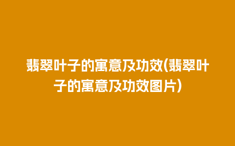 翡翠叶子的寓意及功效(翡翠叶子的寓意及功效图片)