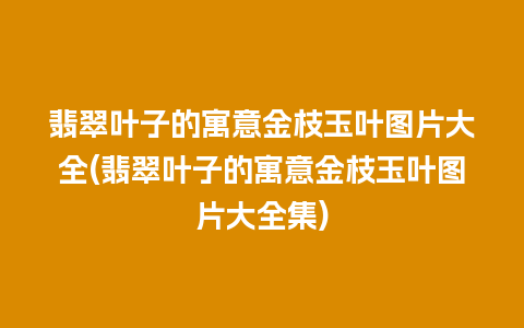 翡翠叶子的寓意金枝玉叶图片大全(翡翠叶子的寓意金枝玉叶图片大全集)