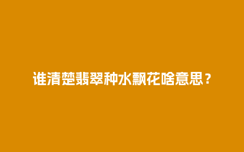谁清楚翡翠种水飘花啥意思？