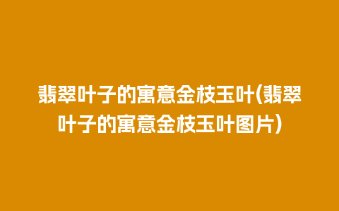 翡翠叶子的寓意金枝玉叶(翡翠叶子的寓意金枝玉叶图片)