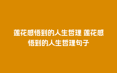 莲花感悟到的人生哲理 莲花感悟到的人生哲理句子