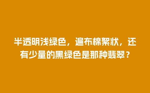 半透明浅绿色，遍布棉絮状，还有少量的黑绿色是那种翡翠？