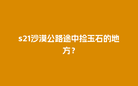 s21沙漠公路途中捡玉石的地方？