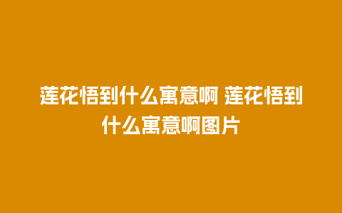 莲花悟到什么寓意啊 莲花悟到什么寓意啊图片