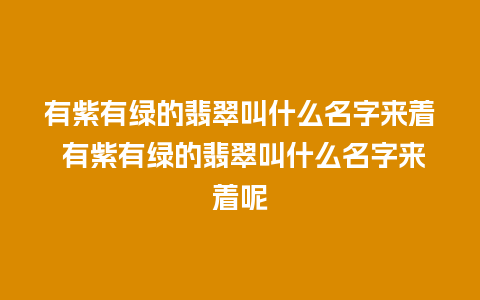 有紫有绿的翡翠叫什么名字来着 有紫有绿的翡翠叫什么名字来着呢