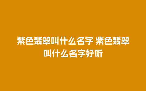 紫色翡翠叫什么名字 紫色翡翠叫什么名字好听