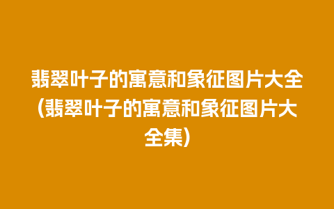 翡翠叶子的寓意和象征图片大全(翡翠叶子的寓意和象征图片大全集)