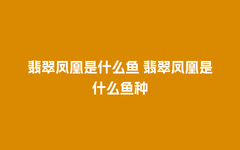 翡翠凤凰是什么鱼 翡翠凤凰是什么鱼种