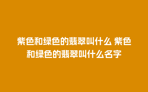 紫色和绿色的翡翠叫什么 紫色和绿色的翡翠叫什么名字