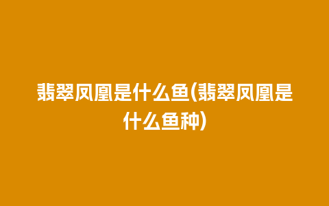 翡翠凤凰是什么鱼(翡翠凤凰是什么鱼种)