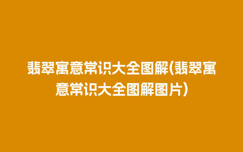 翡翠寓意常识大全图解(翡翠寓意常识大全图解图片)