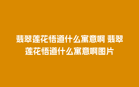 翡翠莲花悟道什么寓意啊 翡翠莲花悟道什么寓意啊图片