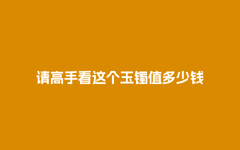 请高手看这个玉镯值多少钱