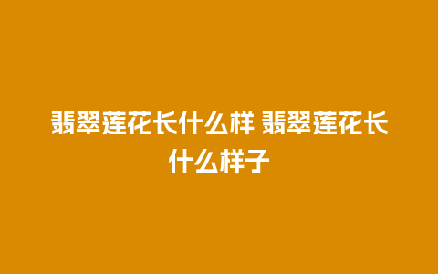 翡翠莲花长什么样 翡翠莲花长什么样子