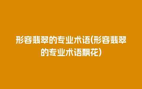 形容翡翠的专业术语(形容翡翠的专业术语飘花)