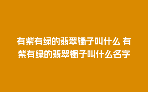 有紫有绿的翡翠镯子叫什么 有紫有绿的翡翠镯子叫什么名字
