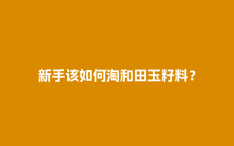 新手该如何淘和田玉籽料？