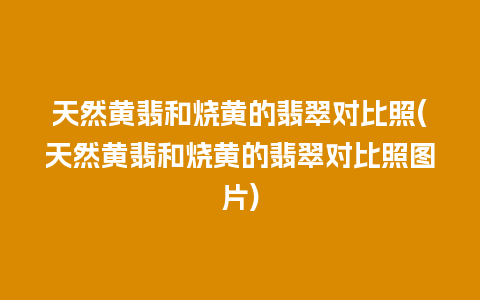 天然黄翡和烧黄的翡翠对比照(天然黄翡和烧黄的翡翠对比照图片)