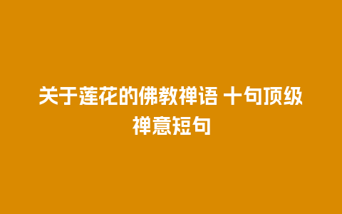 关于莲花的佛教禅语 十句顶级禅意短句
