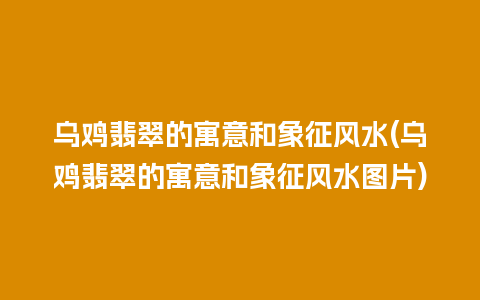 乌鸡翡翠的寓意和象征风水(乌鸡翡翠的寓意和象征风水图片)