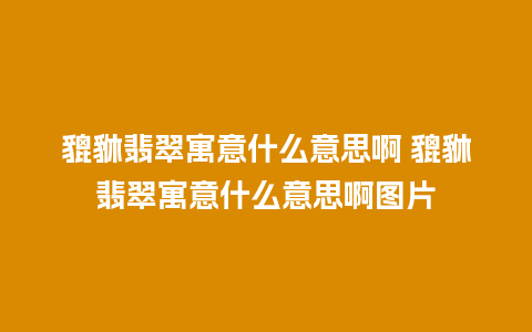 貔貅翡翠寓意什么意思啊 貔貅翡翠寓意什么意思啊图片