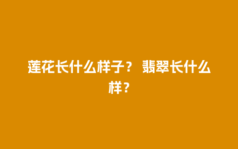 莲花长什么样子？ 翡翠长什么样？