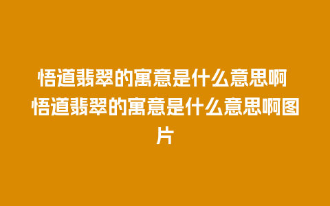 悟道翡翠的寓意是什么意思啊 悟道翡翠的寓意是什么意思啊图片