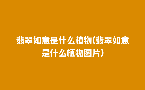 翡翠如意是什么植物(翡翠如意是什么植物图片)