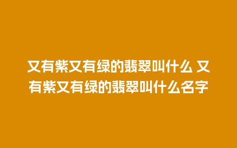 又有紫又有绿的翡翠叫什么 又有紫又有绿的翡翠叫什么名字