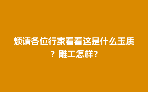 烦请各位行家看看这是什么玉质？雕工怎样？