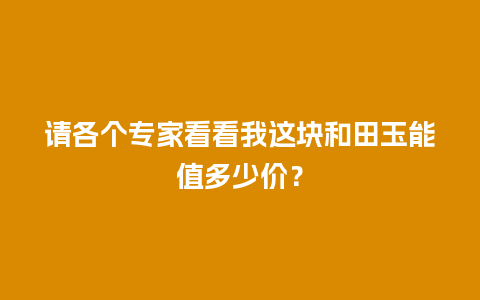 请各个专家看看我这块和田玉能值多少价？