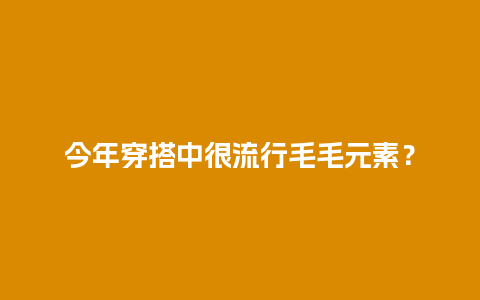 今年穿搭中很流行毛毛元素？