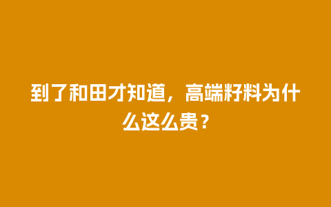 到了和田才知道，高端籽料为什么这么贵？